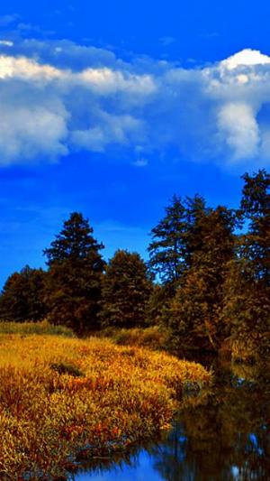 Best Nature.jpg Mixed